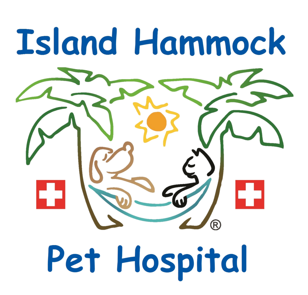 Free Trial Of Trupanion Pet Insurance Island Hammock Pet Hospital free-trial-of-trupanion-pet-insurance-island-hammock-pet-hospital