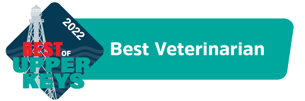 Best veterinarian award