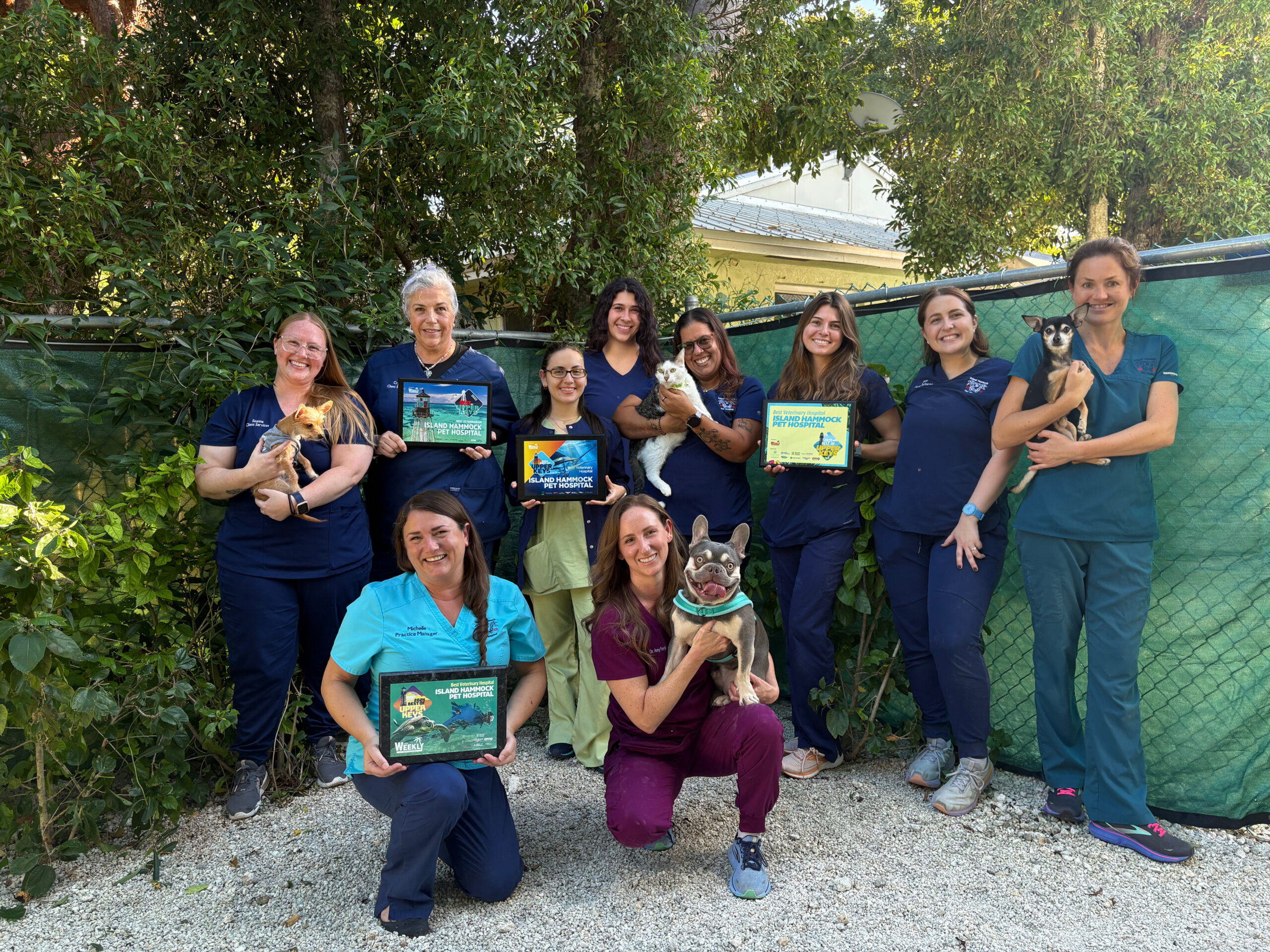 Best of 2 grounp image